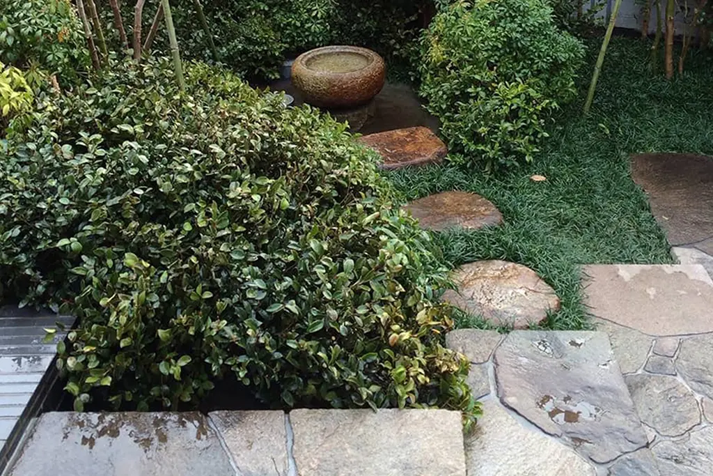 サンプル